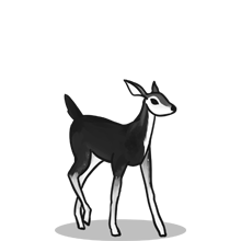 找个靠谱代理的{固定网站名称23}