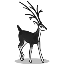 怎么简单攻击一个网站